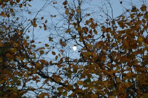 DSC_2503.JPG DSC_2503.JPG