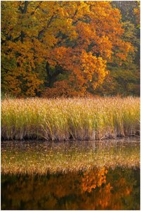 Farbenspiel im Wasser.jpg
