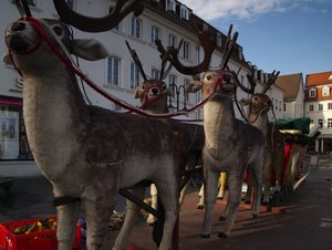 PB061575.jpg PB061575.jpg