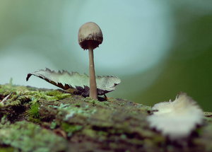 JPG_6845 Kopie pp m.jpg