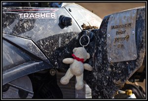 Gelderland 2011-8.jpg