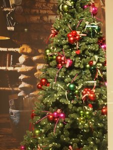 PB051547.jpg PB051547.jpg