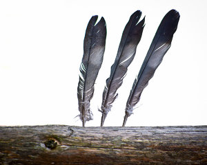 1shot1moment@bilderforum (1 von 2).jpg