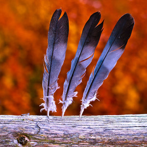 1shot1moment@bilderforum (2 von 2).jpg