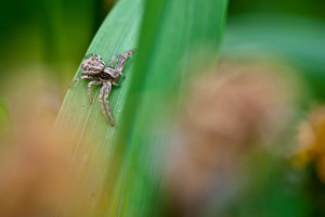 IMG_4813.jpg IMG_4813.jpg