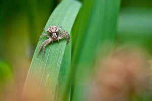 IMG_4815.jpg IMG_4815.jpg