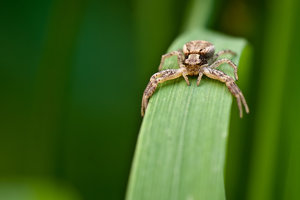 IMG_4821.jpg IMG_4821.jpg