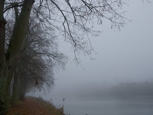 nebel-am-kanal.jpg