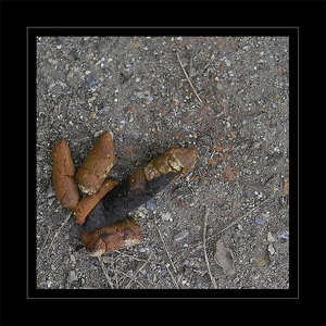 givemefife.jpg givemefife.jpg