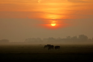 Elsfleth Sonnenuntergang Sonne rechts0001.jpg