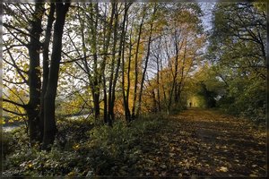 Herbst -SD10 - IMG09403.jpg