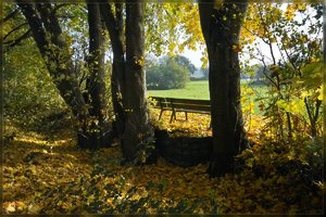 Herbst -SD10 - IMG09408.jpg