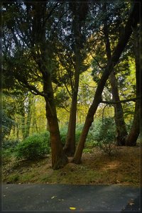 Herbst - SD14 - SDIM7495.jpg