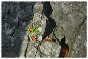 Felsenmeer -SD15 - SDIM9508_Rahmen.jpg