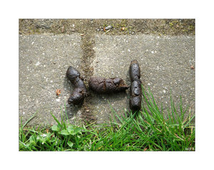 DSCF8923-bf.jpg DSCF8923-bf.jpg