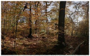 Felsenmeer -SD15 - SDIM9604_stitch_Rahmen.jpg