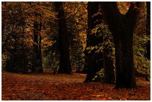 Bauernhof mit Buchen 500 kbBauernhof mit Buchen 10001.jpg