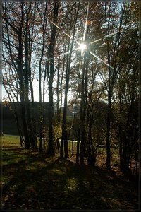 Herbst -SD15 - SDIM9467.jpg