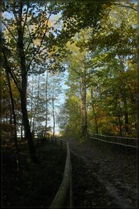 Herbst -SD15 - SDIM9487.jpg
