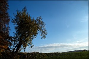 Herbst -SD15 - SDIM9557.jpg