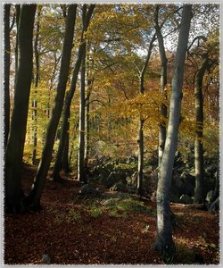 Felsenmeer -SD15 - SDIM9566_stitch_Rahmen.jpg
