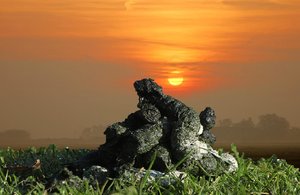 Fäkalsun1.JPG Fäkalsun1.JPG