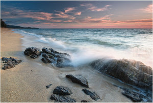 SDIM6146.jpg SDIM6146.jpg