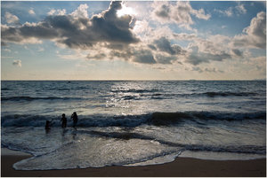 SDIM6048.jpg SDIM6048.jpg