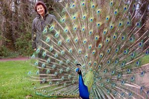 Im Wörlitzer Park Dessau.jpg