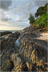 SDIM6179.jpg SDIM6179.jpg