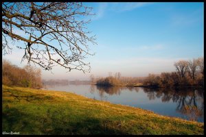 sample 5.jpg sample 5.jpg