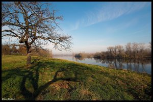 sample 7.jpg sample 7.jpg