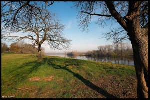 sample 8.jpg sample 8.jpg