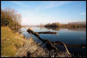 sample 11.jpg sample 11.jpg