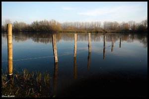 sample 12.jpg sample 12.jpg