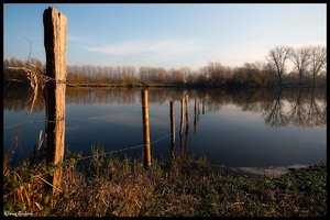 sample 13.jpg sample 13.jpg