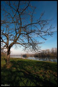 sample 15.jpg sample 15.jpg