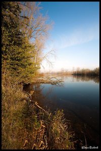 sample 16.jpg sample 16.jpg