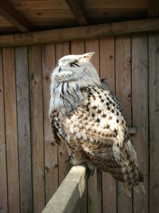 2011-05-21 16.04.48.v01.jpg 2011-05-21 16.04.48.v01.jpg