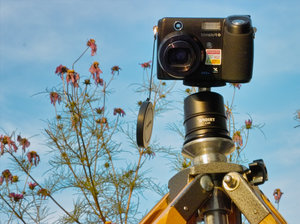 X530_Selbstportraet_PIMG0008_JPGooSPP25.jpg X530_Selbstportraet_PIMG0008_JPGooSPP25.jpg