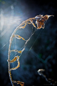 1shot1moment@bilderforum (1 von 3).jpg