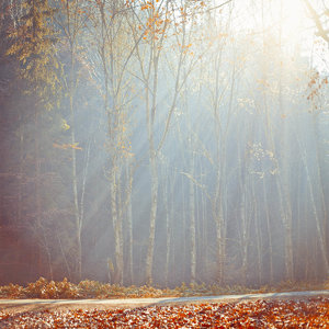 1shot1moment@bilderforum (3 von 3).jpg