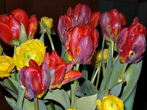 (1) Samsung EX 1.jpg