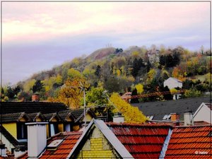 PB042398.JPG PB042398.JPG