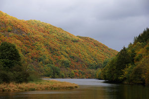 See 015 A58_16105.jpg