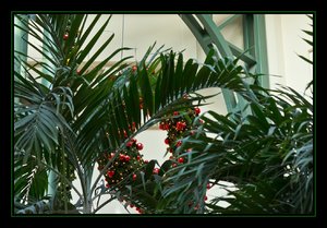 OB Weihnachtsmarkt-18.jpg