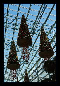 OB Weihnachtsmarkt-20.jpg