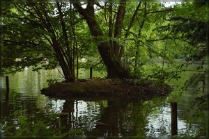 Landscape -SDIM1057.jpg