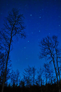 2011_10_15_Ragoese_Bahndamm_Biber_Gr_Wagen_SDIM0019_600x900pix.jpg 2011_10_15_Ragoese_Bahndamm_Biber_Gr_Wagen_SDIM0019_600x900pix.jpg