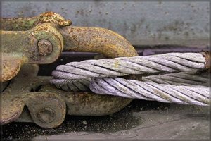 Rost -1_Ewald2-SD10-IMG04235.jpg